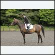 durdress26_0122