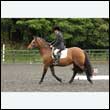 durdress26_0126