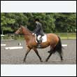 durdress26_0130