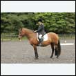 durdress26_0131
