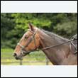 durdress26_0133