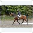 durdress26_0134