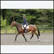 durdress26_0135