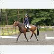 durdress26_0136