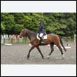 durdress26_0139