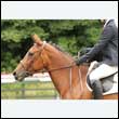 durdress26_0142