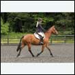 durdress26_0143