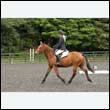 durdress26_0146