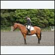 durdress26_0147