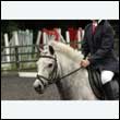 durdress26_0161