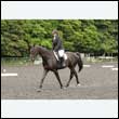 durdress26_0171