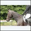 durdress26_0172