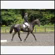 durdress26_0173