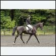 durdress26_0174