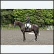 durdress26_0181