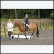 durdress26_0208