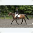 durdress26_0213