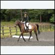 durdress26_0214