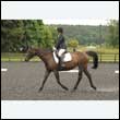 durdress26_0215