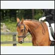 durdress26_0221