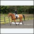 durdress26_0227