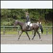 durdress26_0230