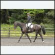 durdress26_0232