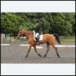 durdress26_0233