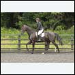 durdress26_0236