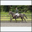 durdress26_0237