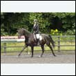durdress26_0239