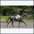 durdress26_0241