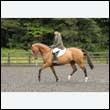 durdress26_0245