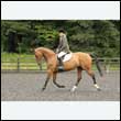 durdress26_0246