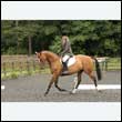 durdress26_0248