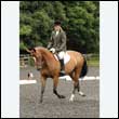 durdress26_0251