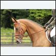 durdress26_0252
