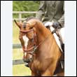 durdress26_0253