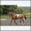 durdress26_0254