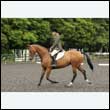 durdress26_0255