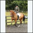 durdress26_0257