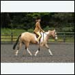 durdress26_0260