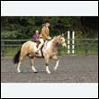 durdress26_0263