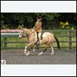 durdress26_0265