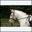 durdress26_0267