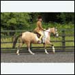 durdress26_0269