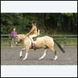 durdress26_0271