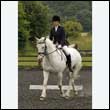 durdress26_0273