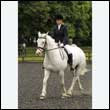 durdress26_0274