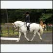 durdress26_0276